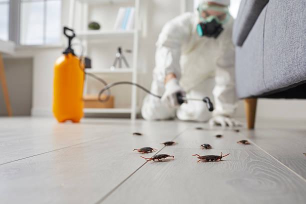 Trusted Cockroach Control service in Ellinwood, KS - Nex Pest Control
